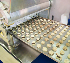 A range of biscuits in production going through a conveyor system.